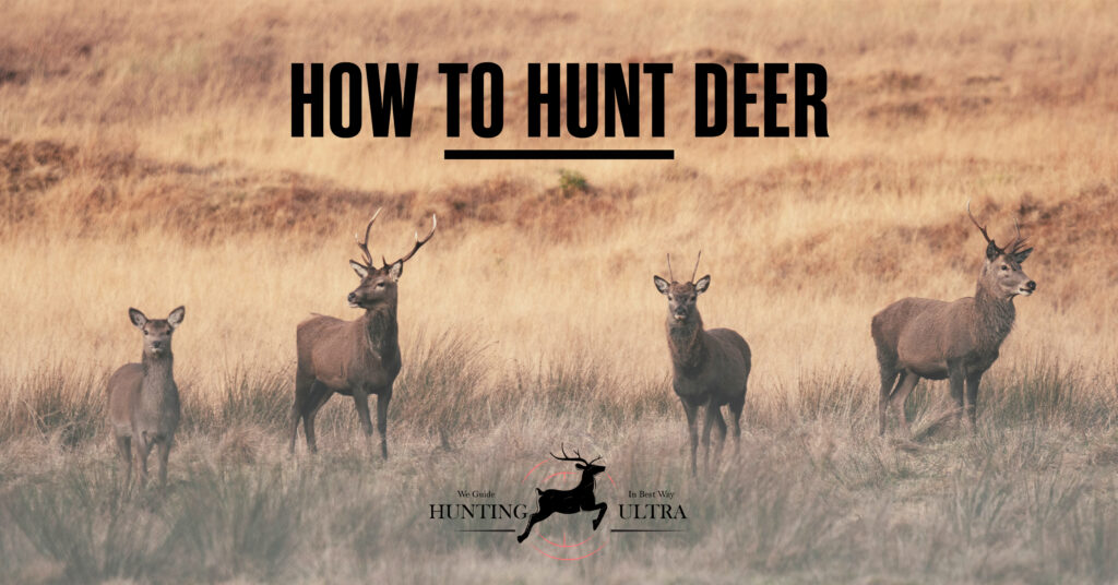 How to Hunt Deer