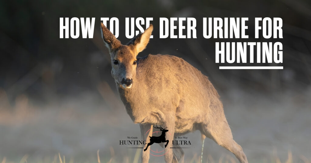 How to Use Deer Urine for Hunting
