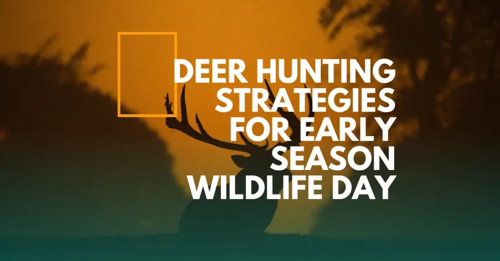 Deer Hunting Strategies for Early Season