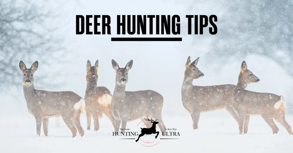 Deer Hunting Tips