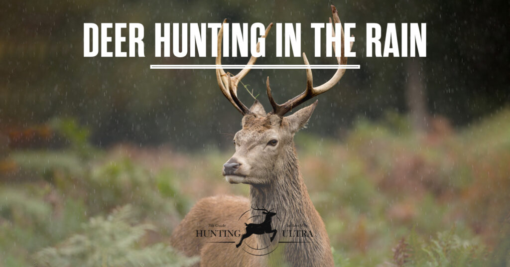 Deer Hunting in the Rain