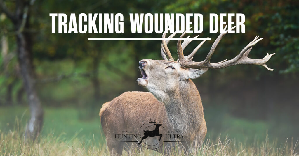 Tracking Wounded Deer