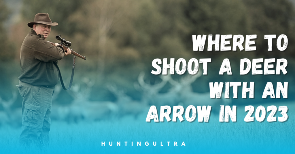 Where to Shoot a Deer with an Arrow